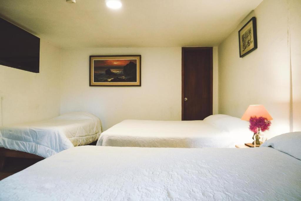 Casa Del Arupo Hostel Кито Екстериор снимка